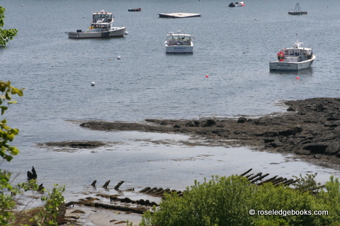 Fig.  #84.  The ribs of the wrecks are still there, at least at low tide.