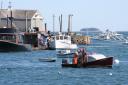 Fig. #81.  Big water life in Tenants Harbor.  My favorite. No PGA Tour here.